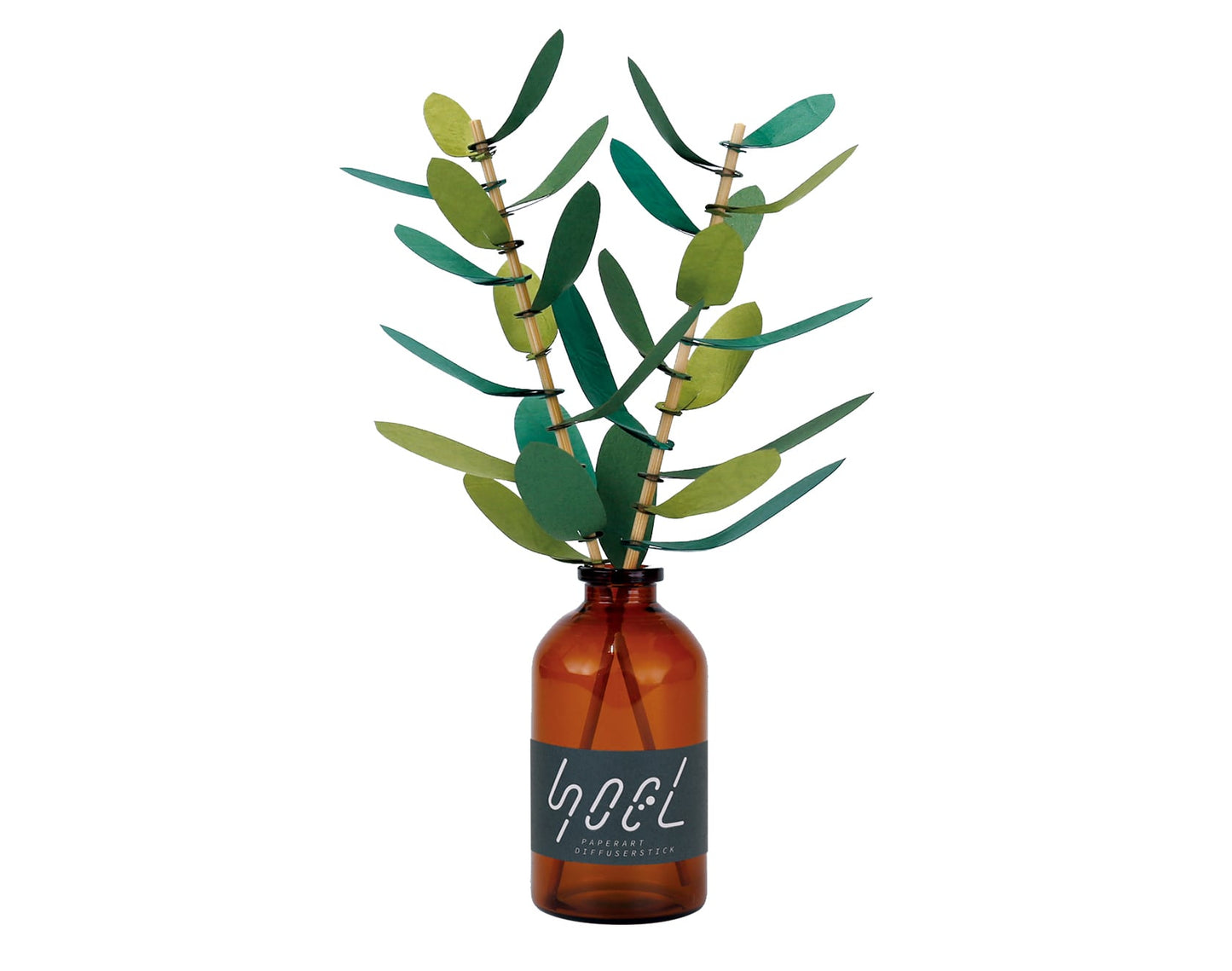 Bog Craft | SOEL Flowers | Olive