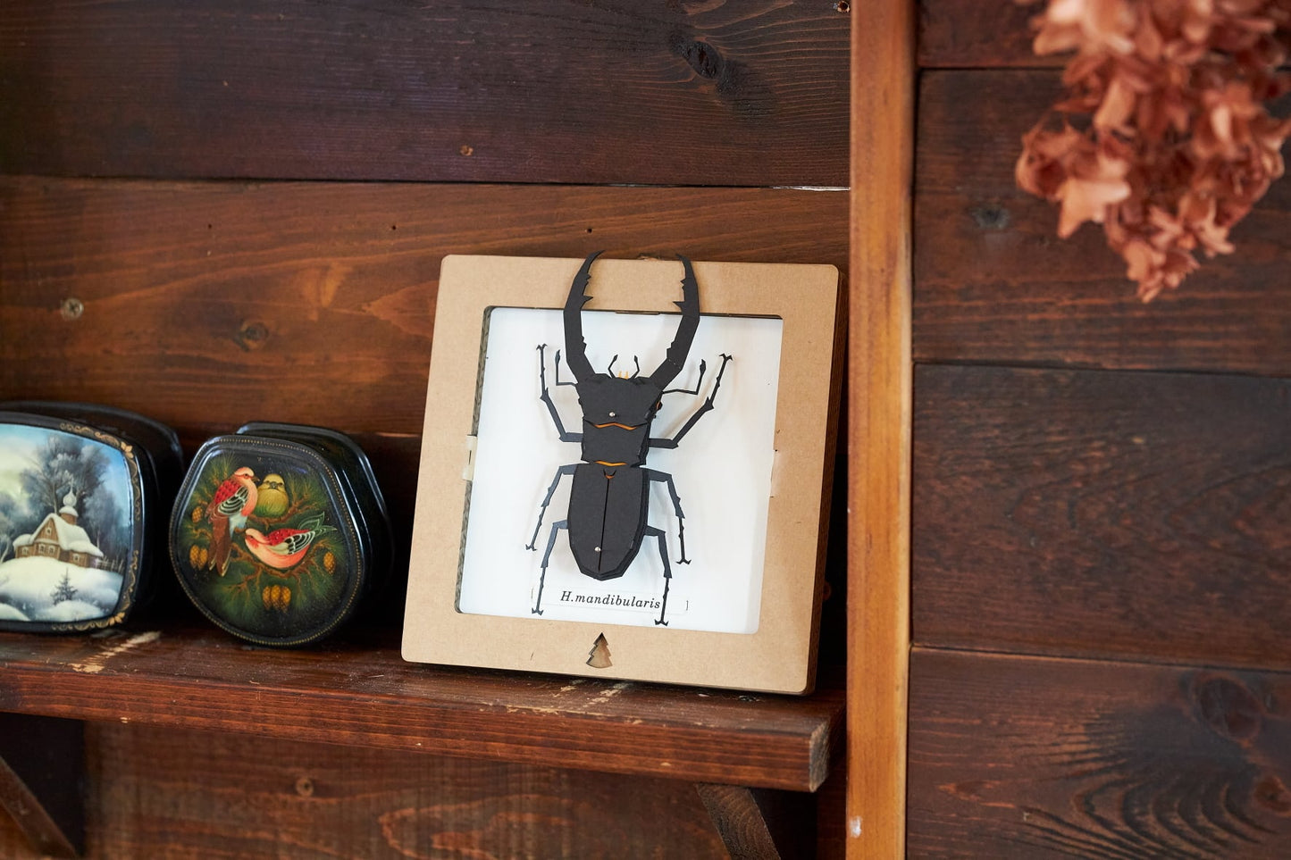 Bog Craft | SQAR | Mandibularis Two-legged Stag Beetle - H.mandibularis | 05 |