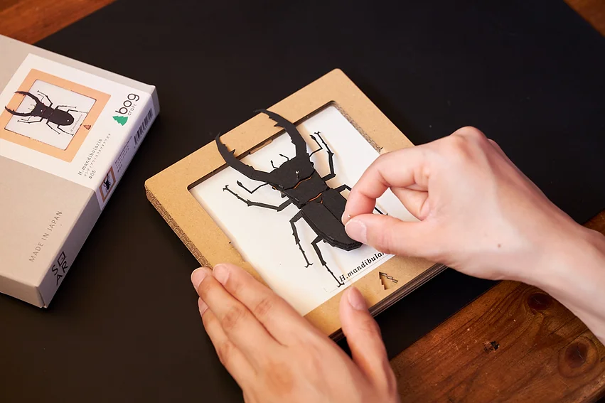 Bog Craft | SQAR | Mandibularis Two-legged Stag Beetle - H.mandibularis | 05 |