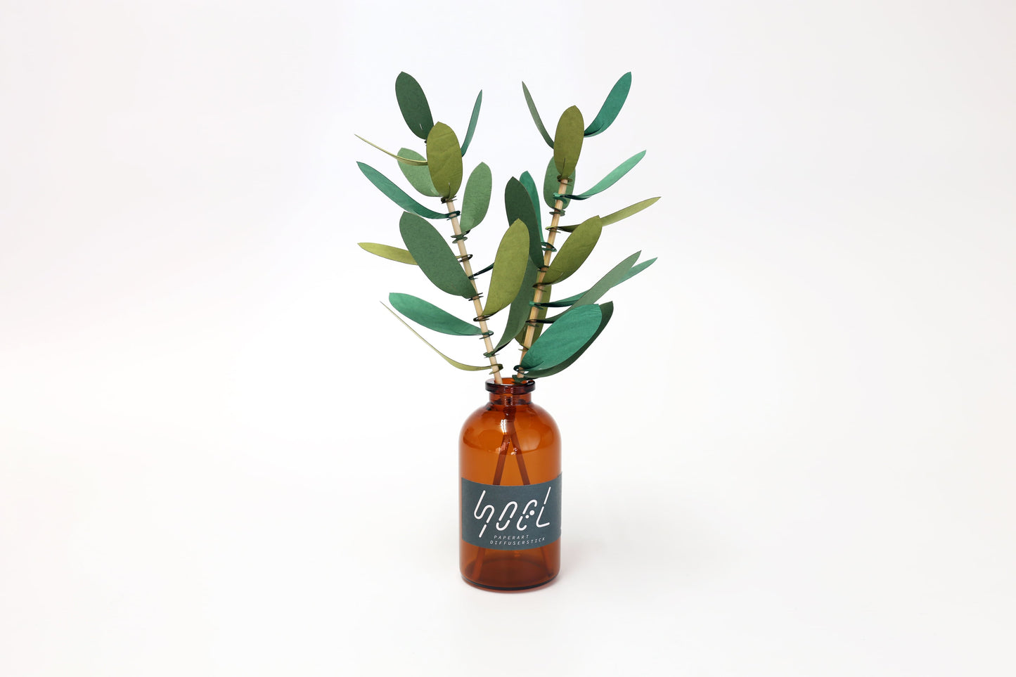 Bog Craft | SOEL Flowers | Olive