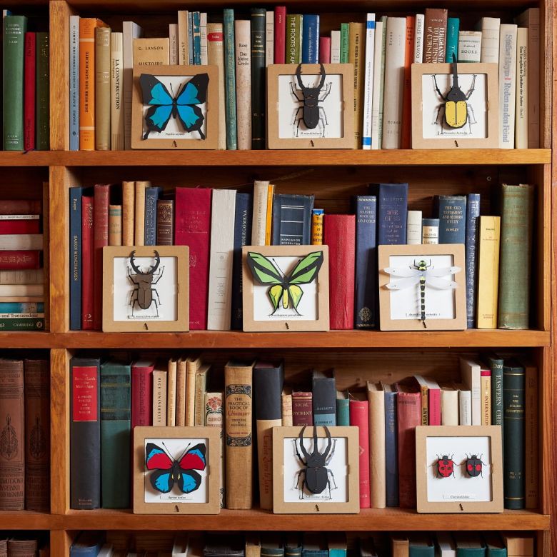 Discover the Beauty of SQAR (Square): Stunning 3D Paper Craft Specimens