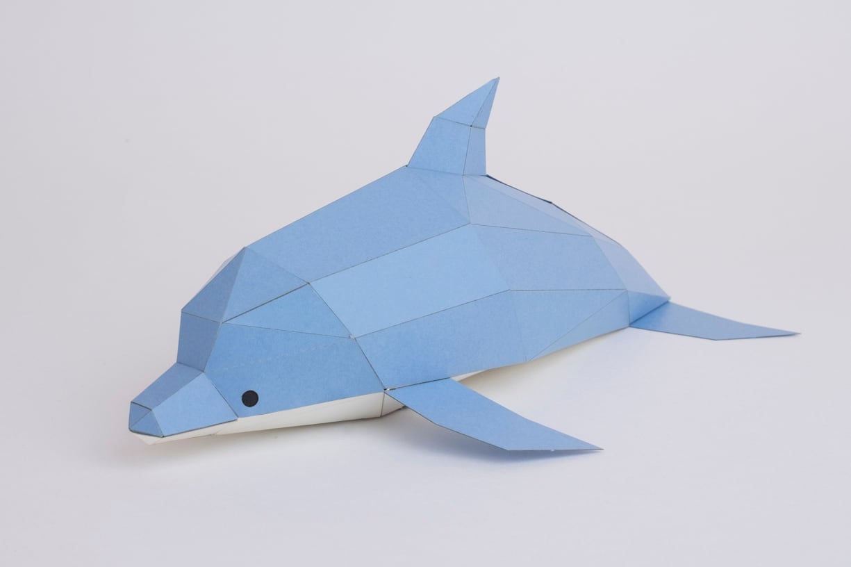 Bog Craft | Kakukaku TINY | Dolphin