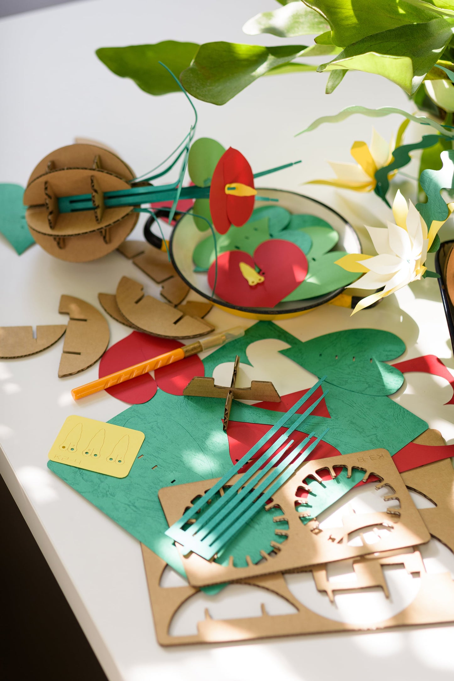 Bog Craft | KAMI NO MIDORI | Monstera