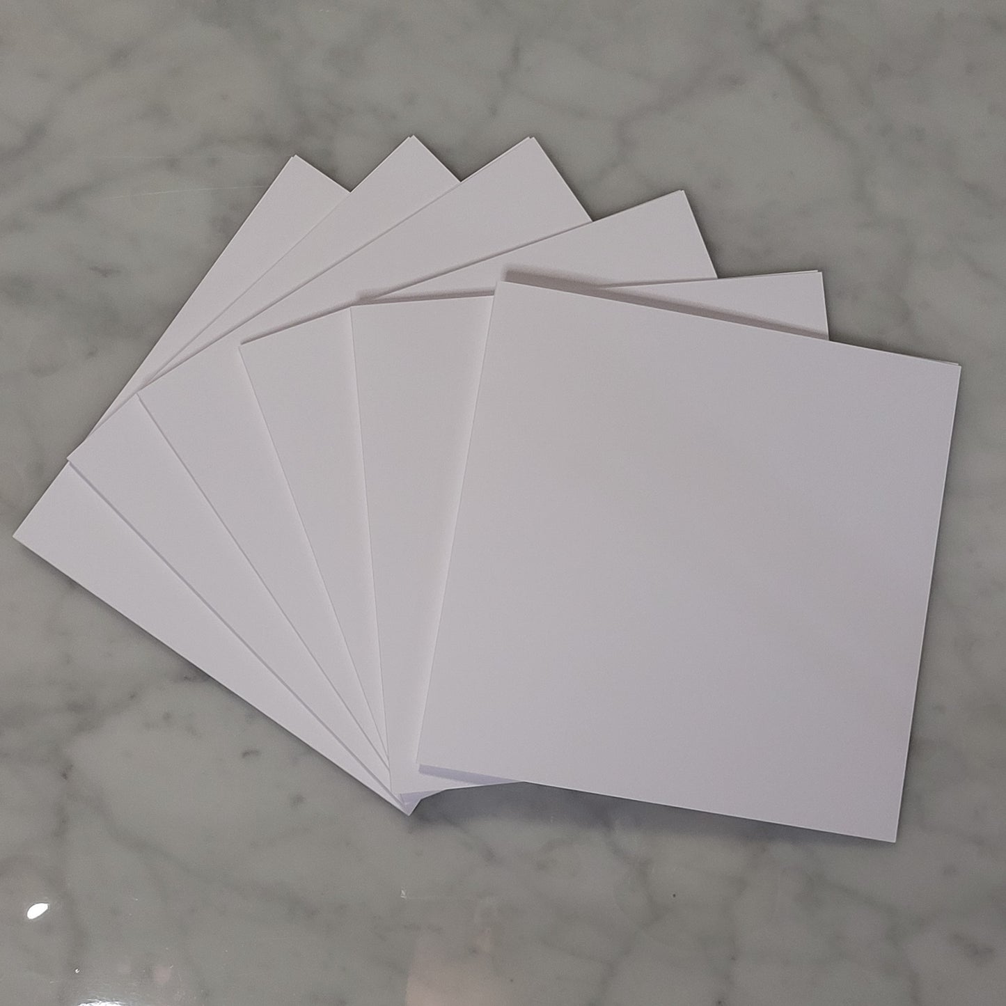 APPLE FLOWER | Large Blank Greeting Cards and Envelopes | 6pk |