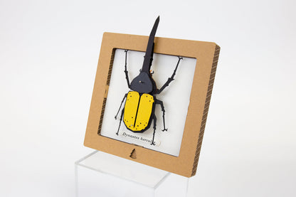 Bog Craft | SQAR | Yellow Hercules Beetle - Dynastes hercules | 07 |