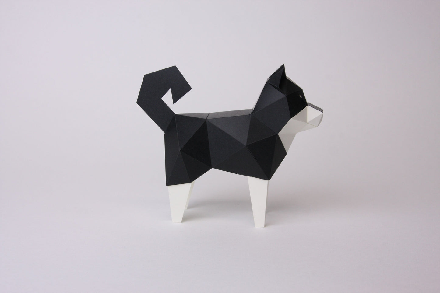 Bog Craft | Kakukaku TINY | Shiba Inu Black