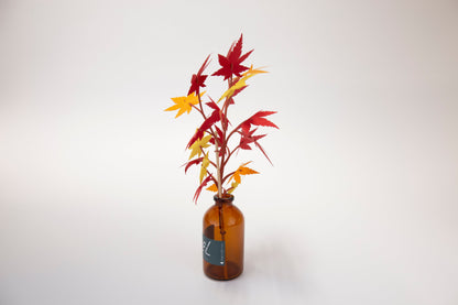 Bog Craft | SOEL Flowers | Maple