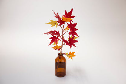 Bog Craft | SOEL Flowers | Maple