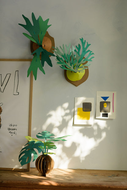 Bog Craft | KAMI NO MIDORI | Monstera