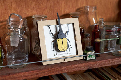 Bog Craft | SQAR | Yellow Hercules Beetle - Dynastes hercules | 07 |