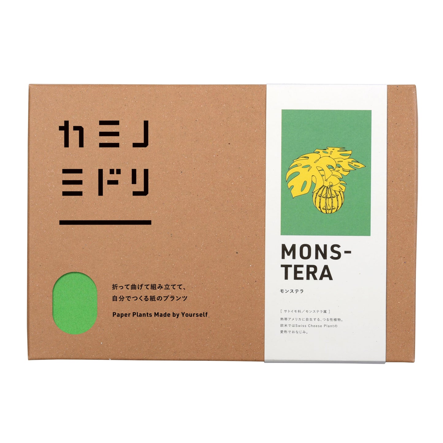 Bog Craft | KAMI NO MIDORI | Monstera