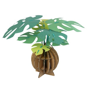 Bog Craft | KAMI NO MIDORI | Monstera