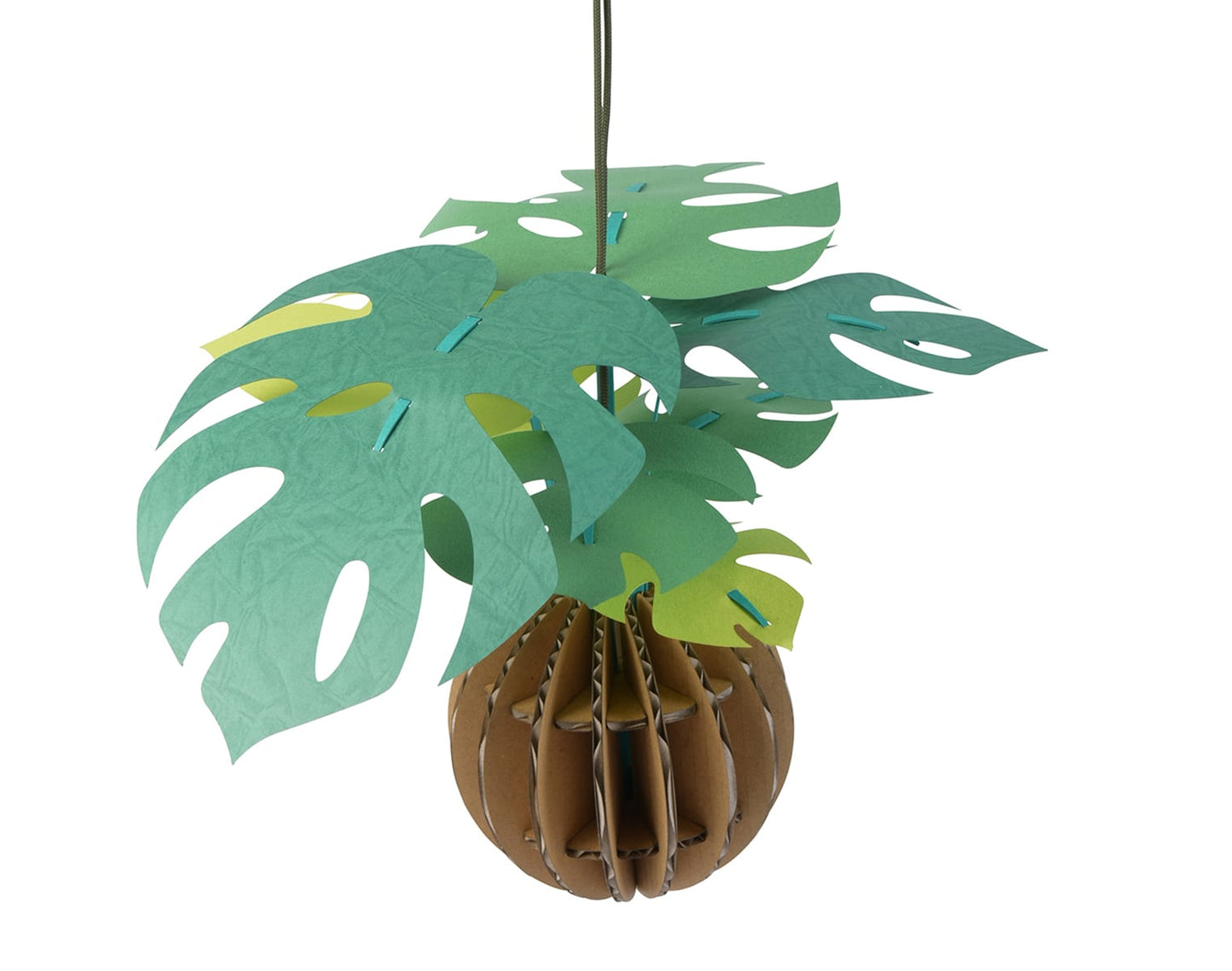 Bog Craft | KAMI NO MIDORI | Monstera
