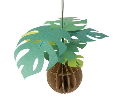 Bog Craft | KAMI NO MIDORI | Monstera