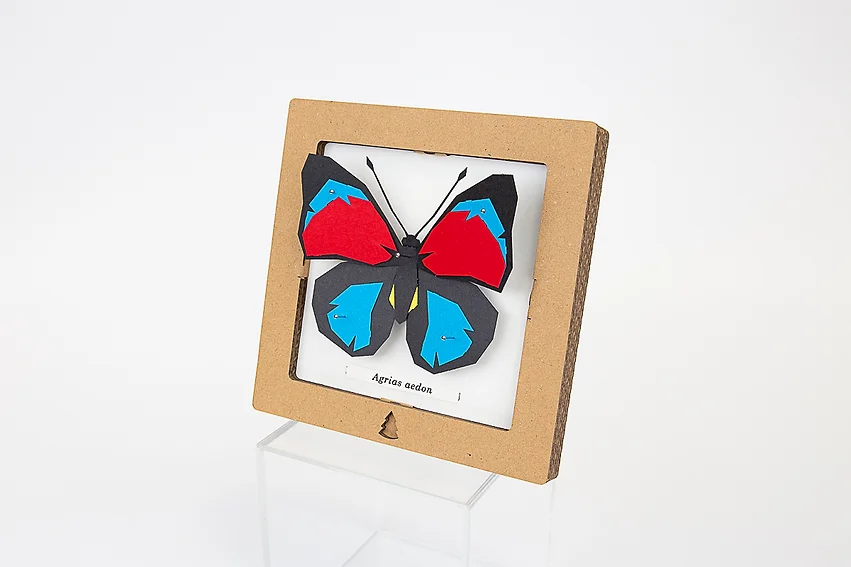 Bog Craft | SQAR | Red-Blue Butterfly - Agrias aedon | 03 |