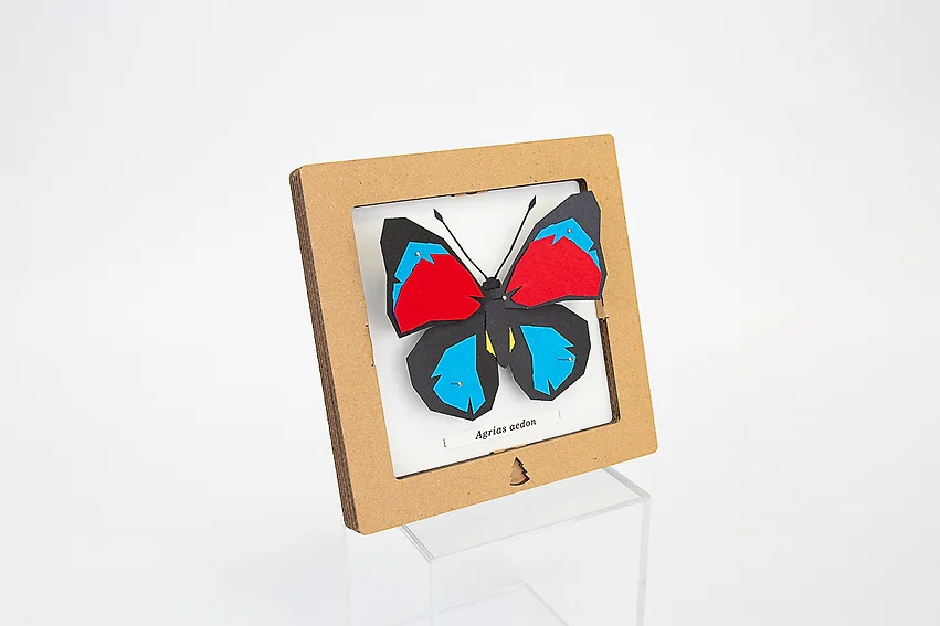 Bog Craft | SQAR | Red-Blue Butterfly - Agrias aedon | 03 |