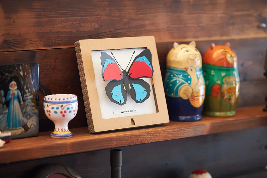 Bog Craft | SQAR | Red-Blue Butterfly - Agrias aedon | 03 |