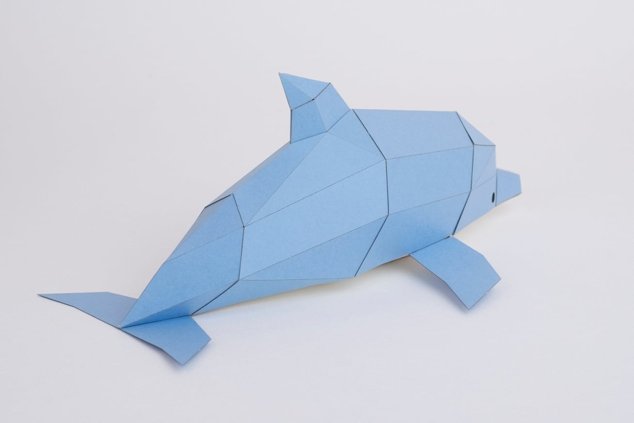 Bog Craft | Kakukaku TINY | Dolphin