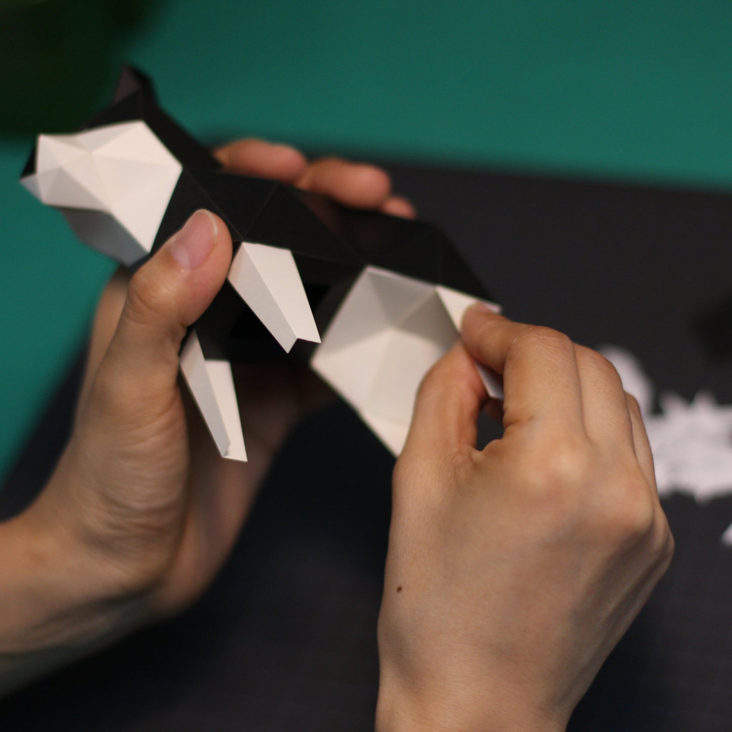 Bog Craft | Kakukaku TINY | Shiba Inu Black