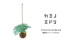 Bog Craft | KAMI NO MIDORI | Monstera